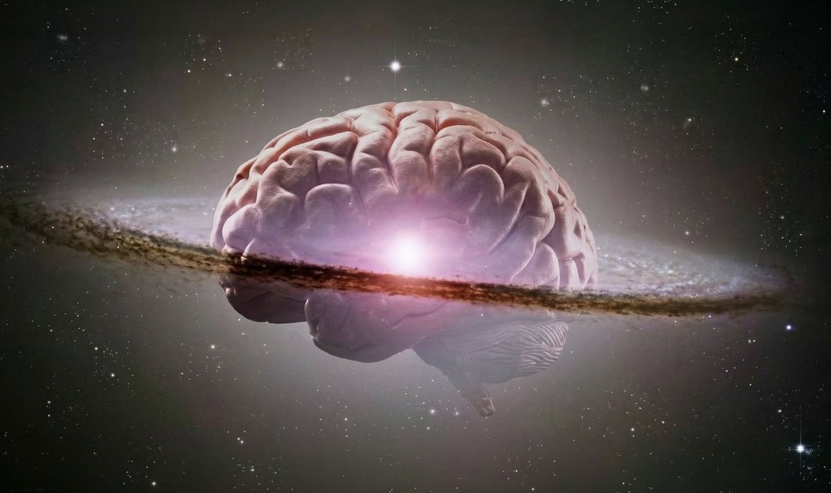 consciousness 100 million years before life