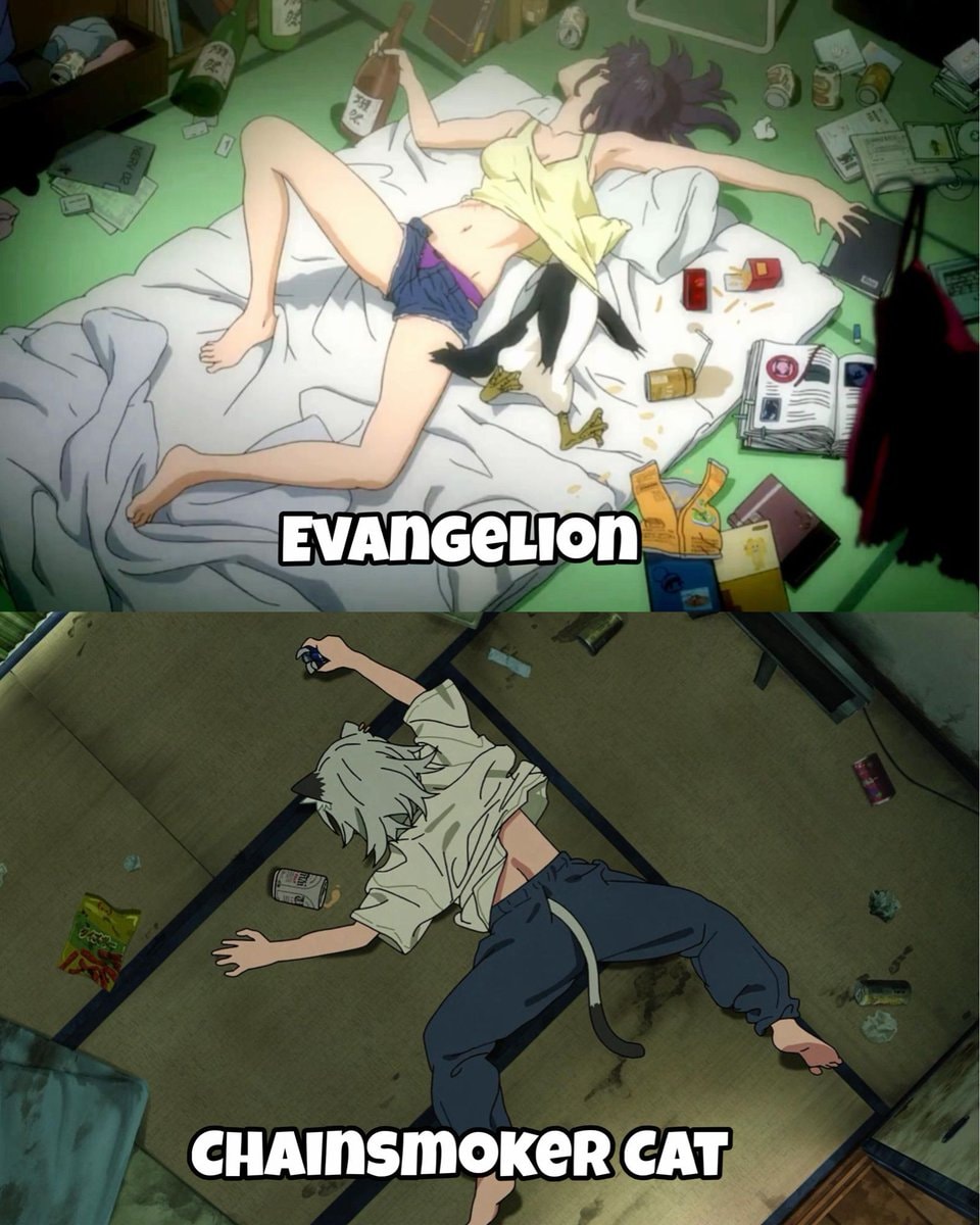 Evangelion vs Chainsmoker Cat messy apartments