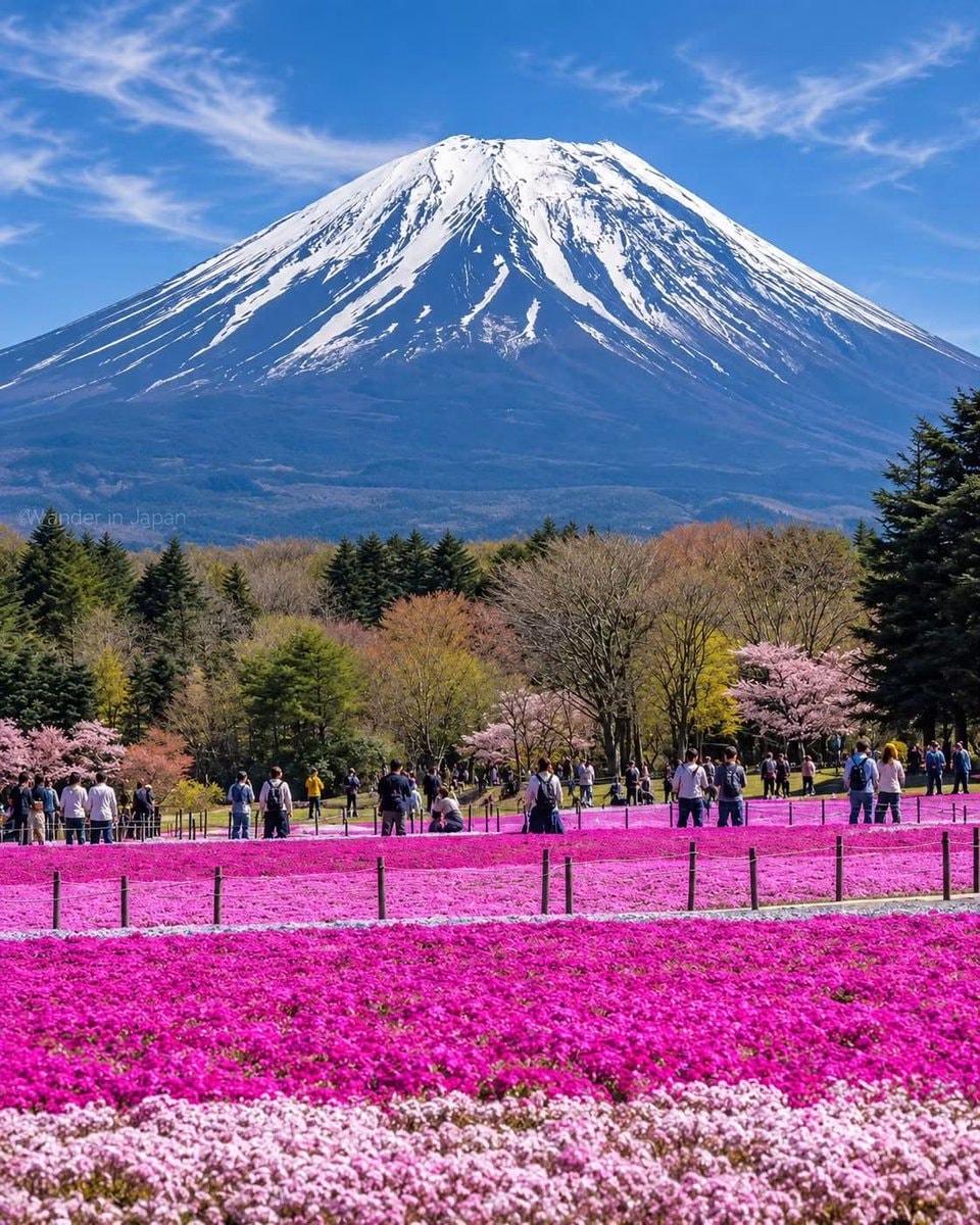 Fuji Motosuko Resort location