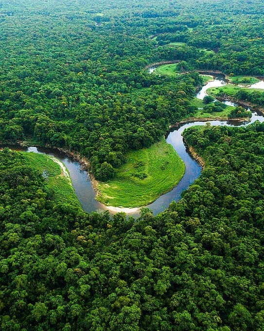 Amazon lowest deforestation rate Lula administration (photo 2 of 2)