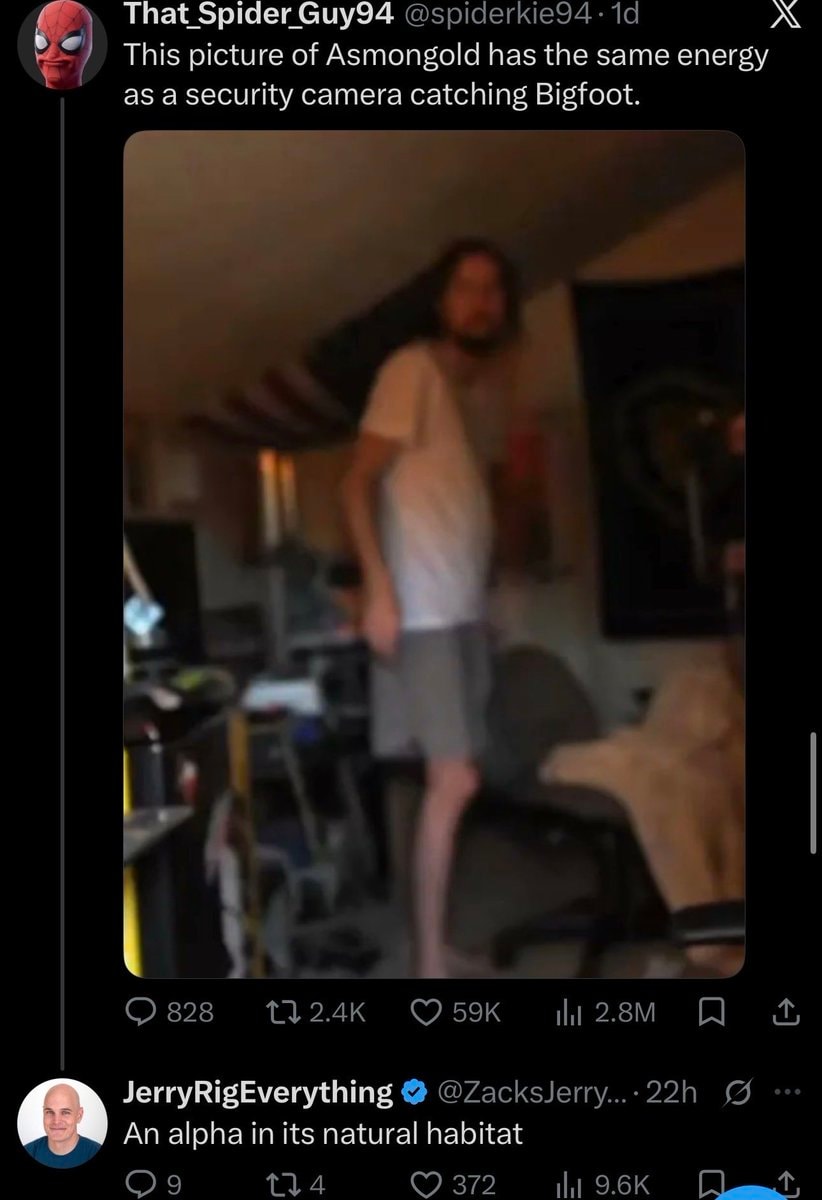 Asmongold alpha status