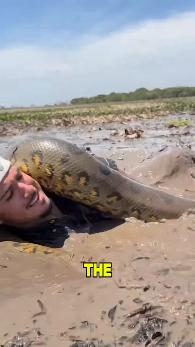 surprising animal moments