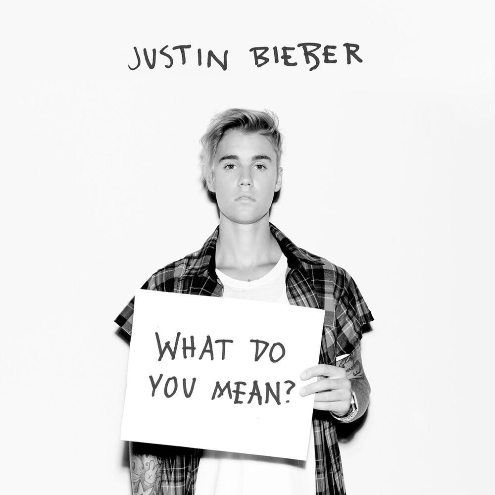 Justin Bieber What Do You Mean record
