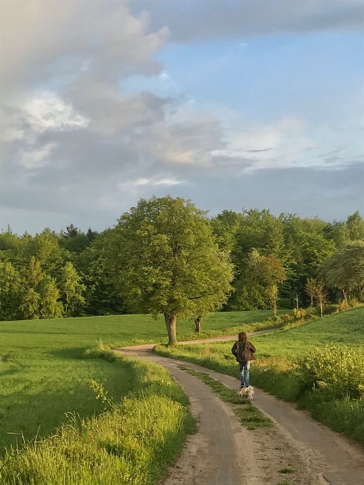person walking white dog in field