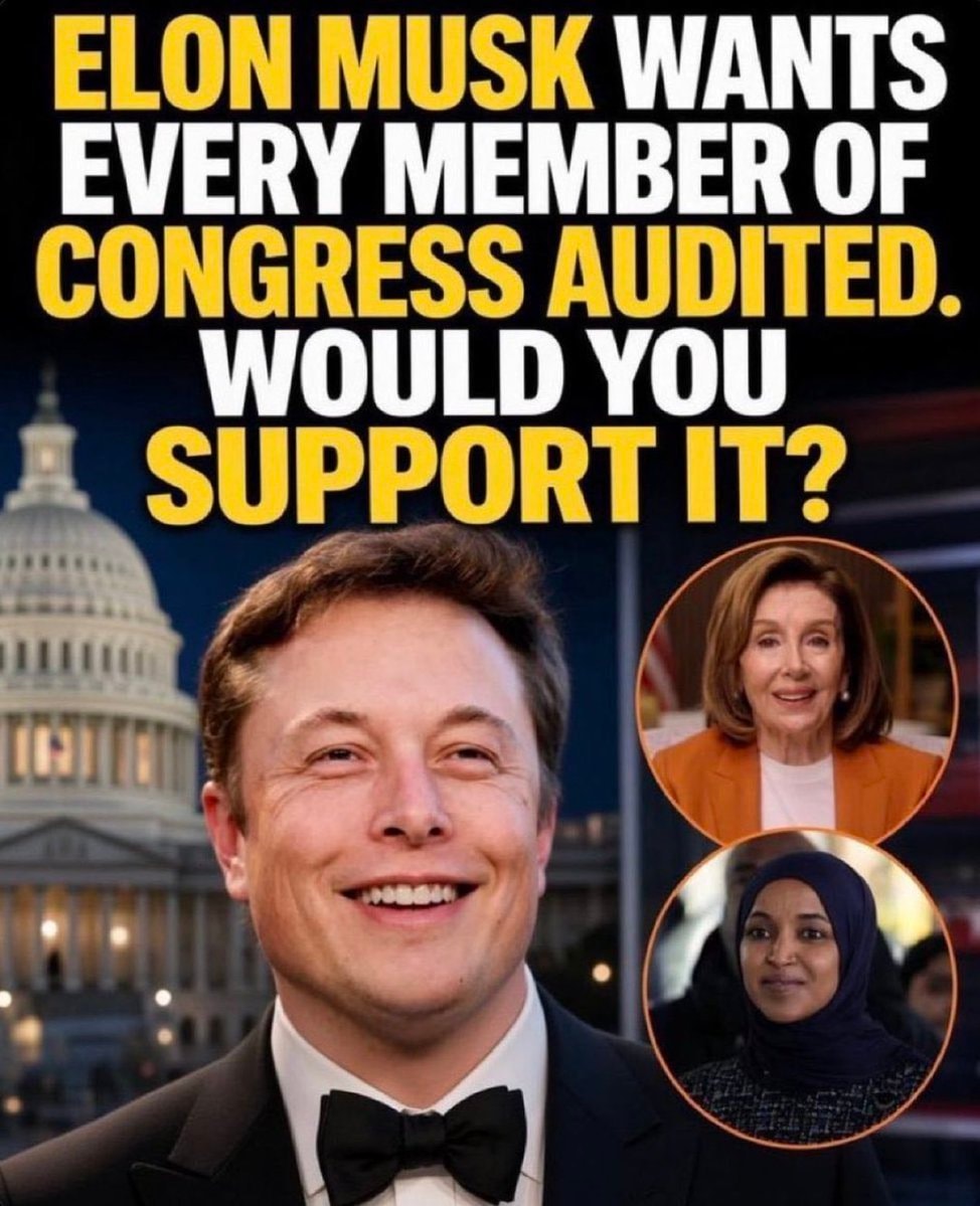 Elon Musk Congress Audit Question
