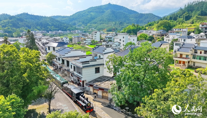 Jiangxi forest train countryside (photo 4 of 4)