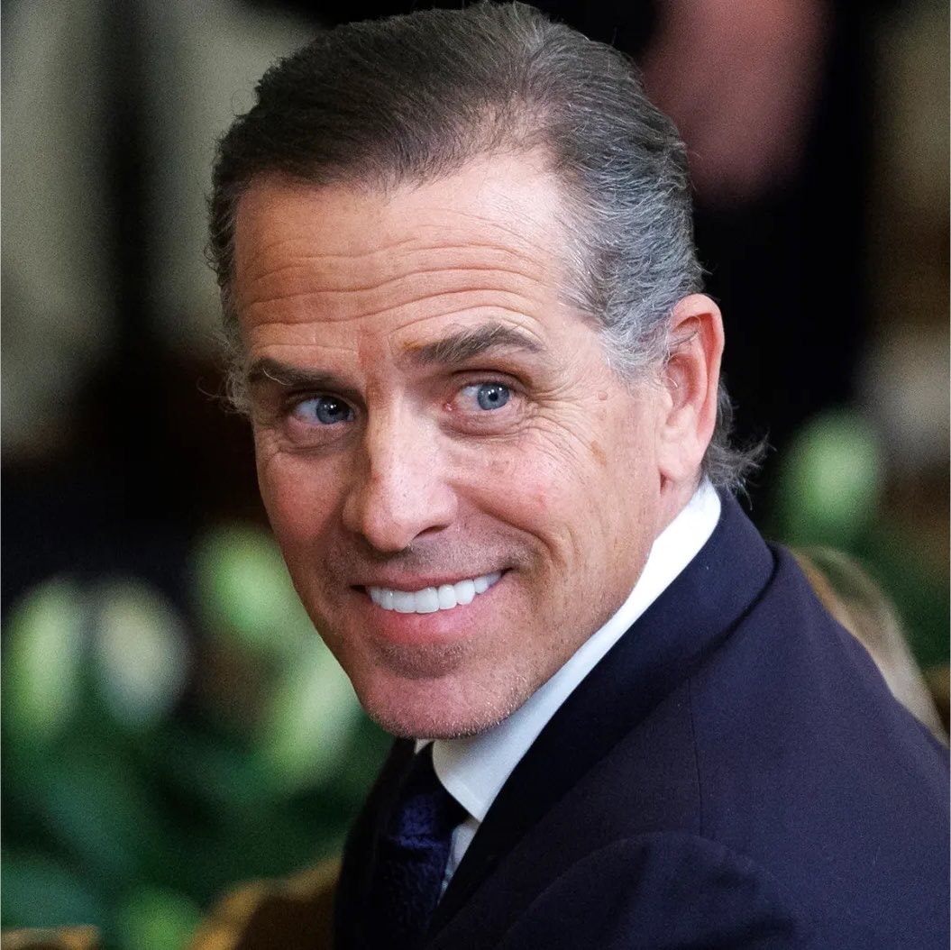 Hunter Biden says he is a little bit gay