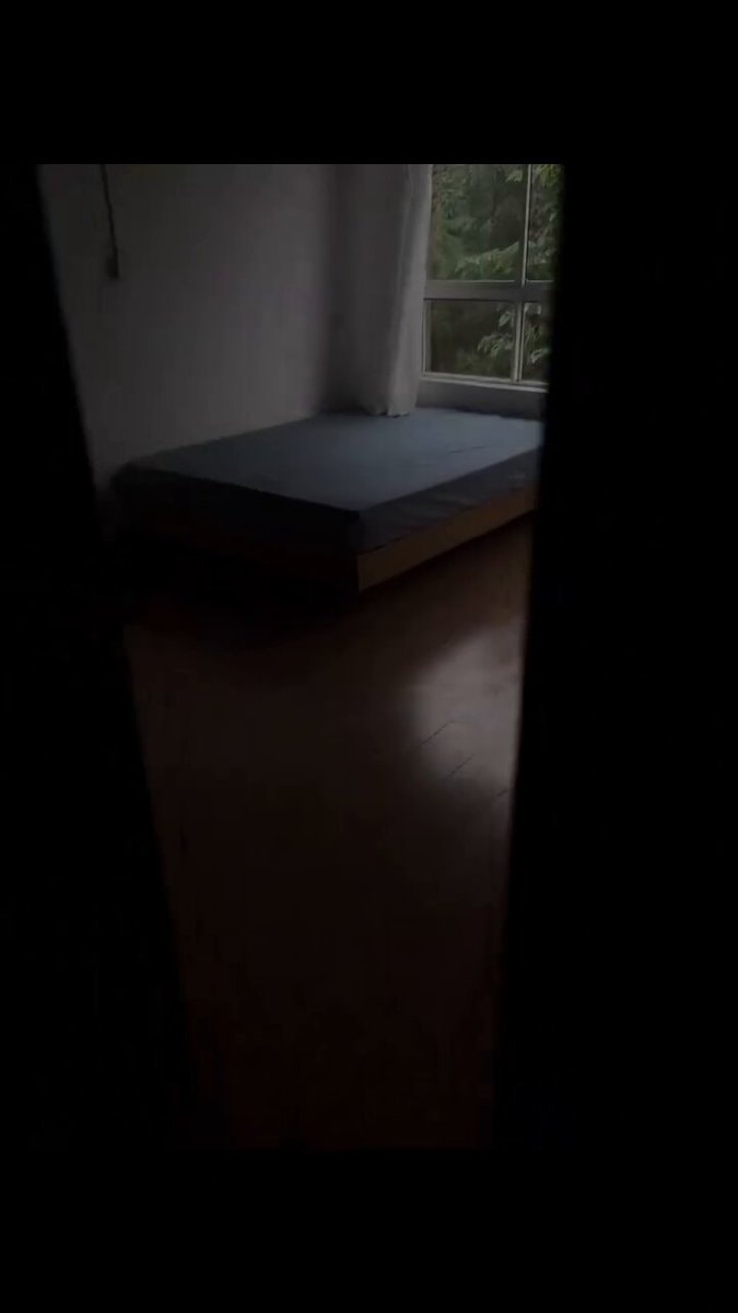 Dim bedroom with green trees outside