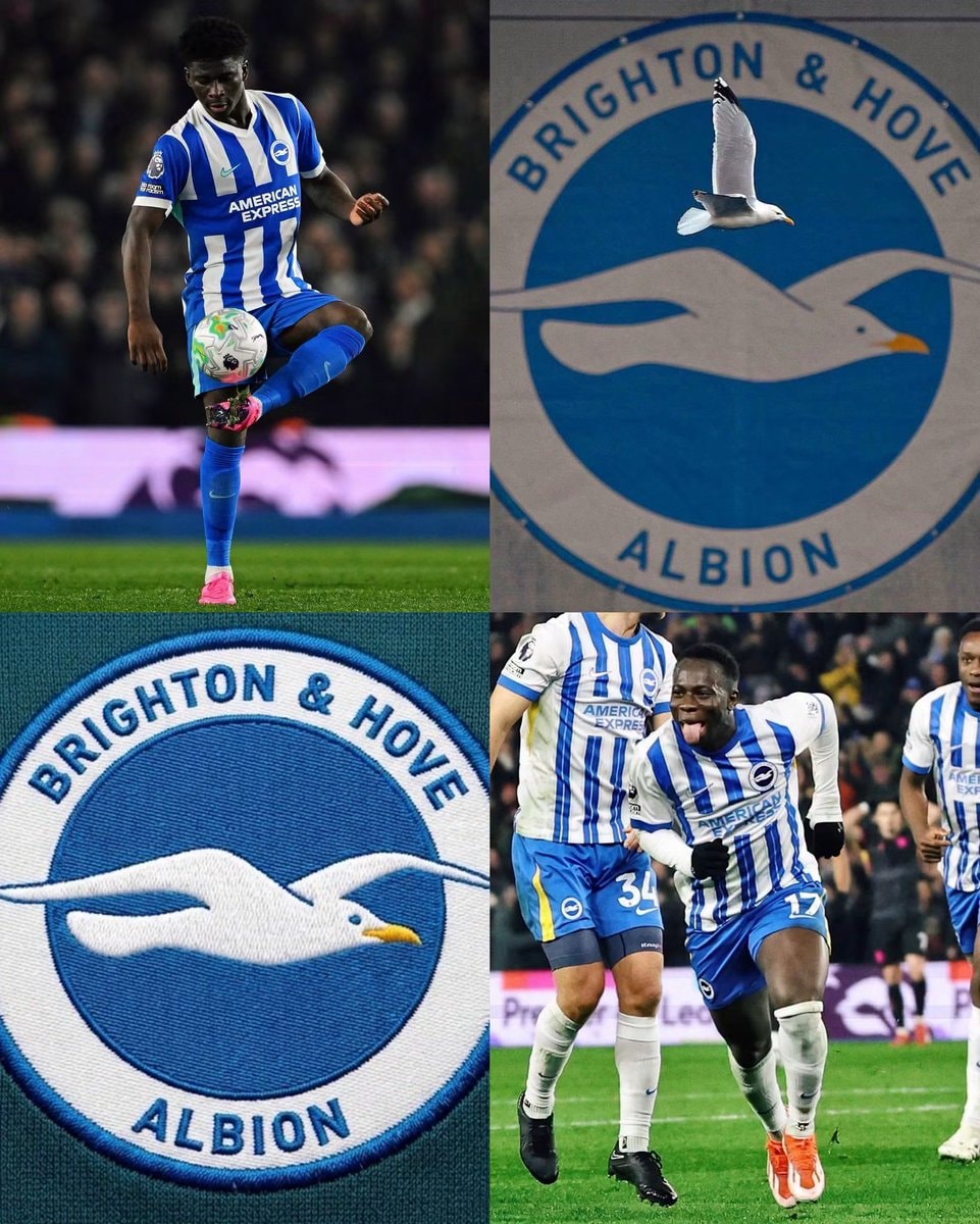 Brighton transfer record history