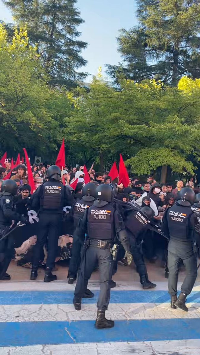 Madrid student pickets police charges