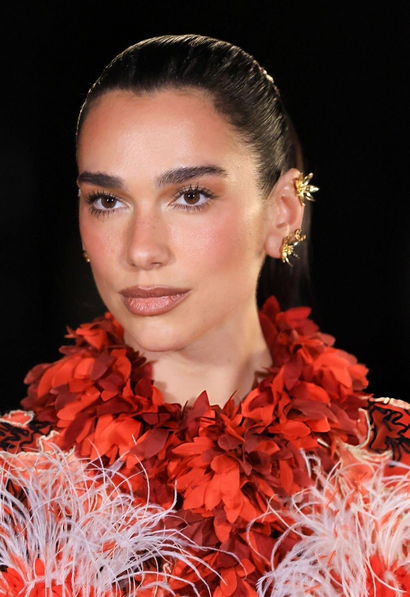 grok edit for dua lipa