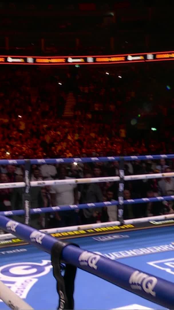 Filip Hrgovic wins after Itaumas stops fight