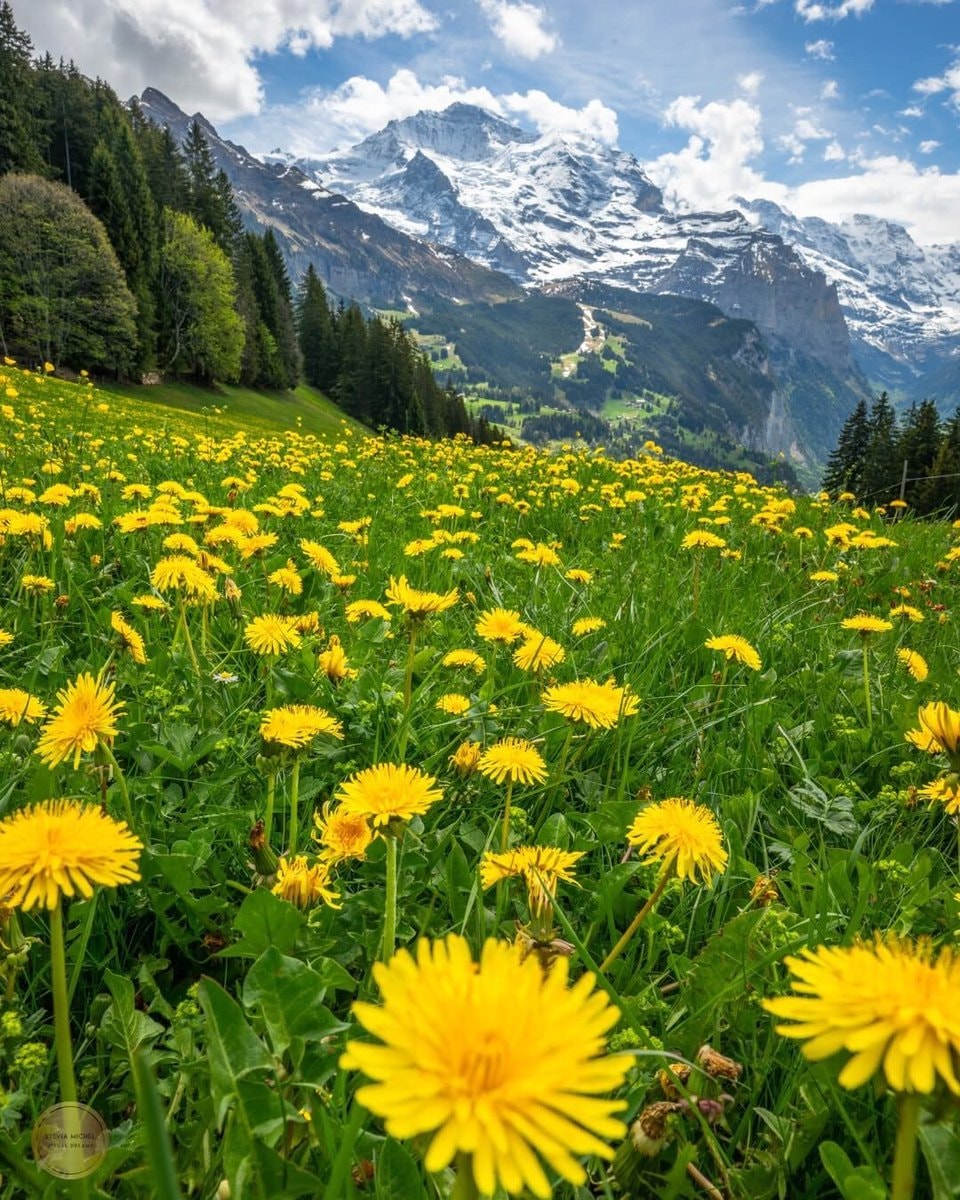 Switzerland landscape (photo 4 of 4)