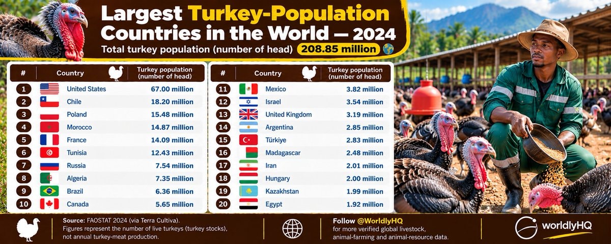 2024 Global Turkey Population Leaders