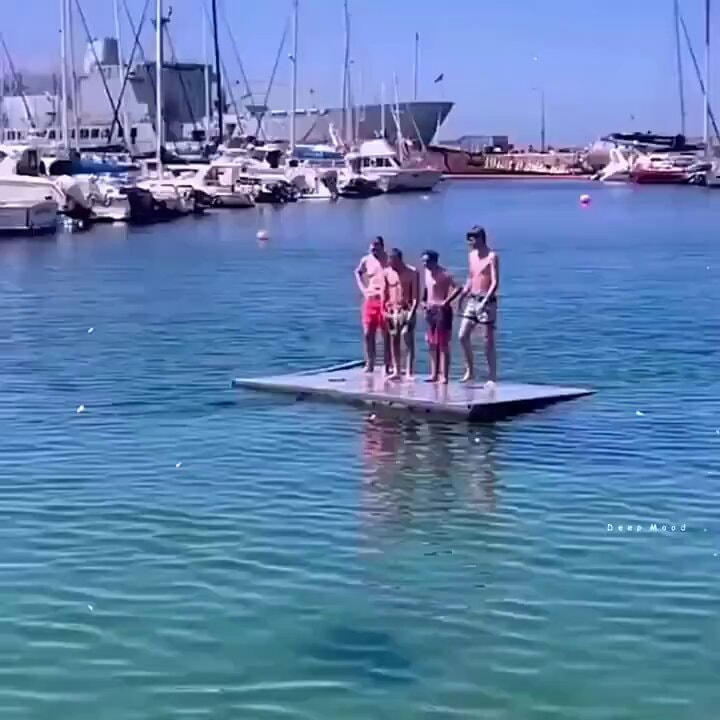 Harbor platform group video