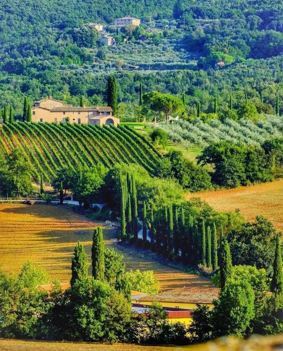 Tuscany Italy Green Fields (photo 2 of 2)