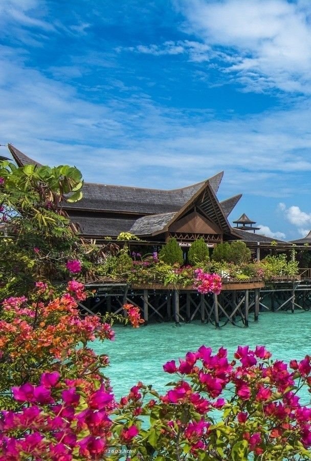 Serene tropical scene in Malaysia (photo 4 of 4)