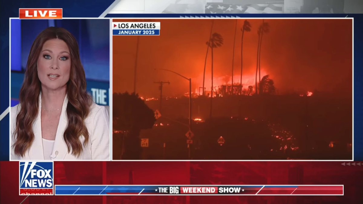 LA County wildfire funds ICE raids