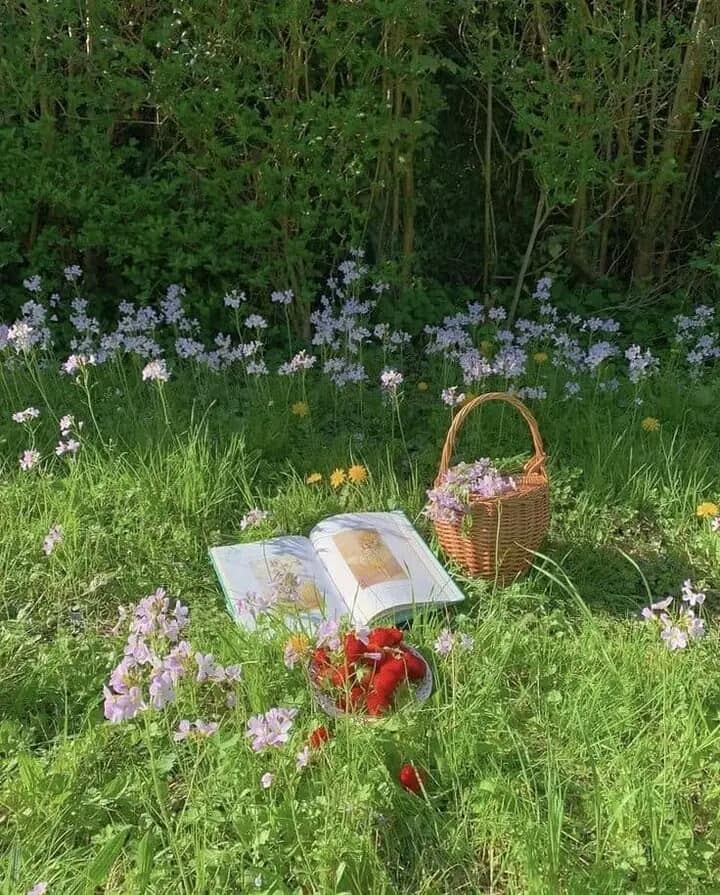 serene picnic meadow (photo 1 of 4)