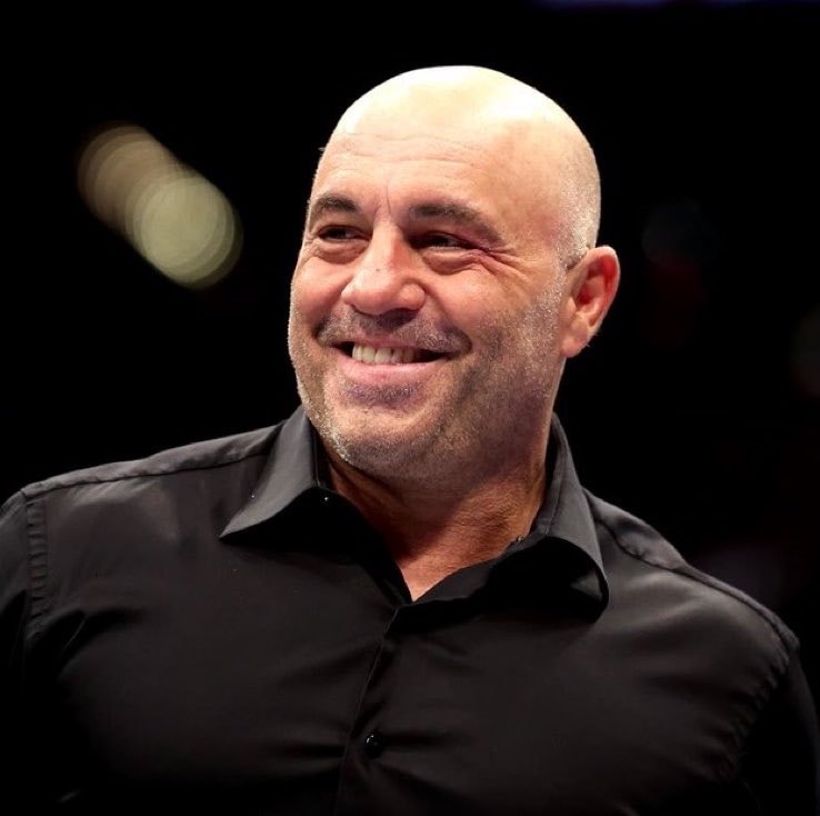 Joe Rogan on Trump supporters