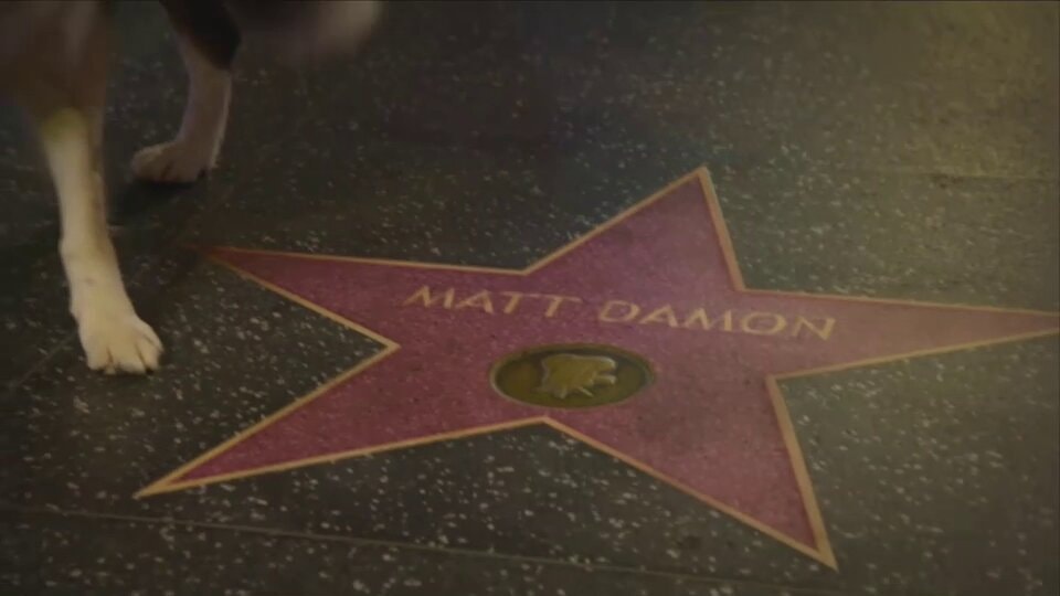 Messi urinates on Matt Damon star 2024 Oscars
