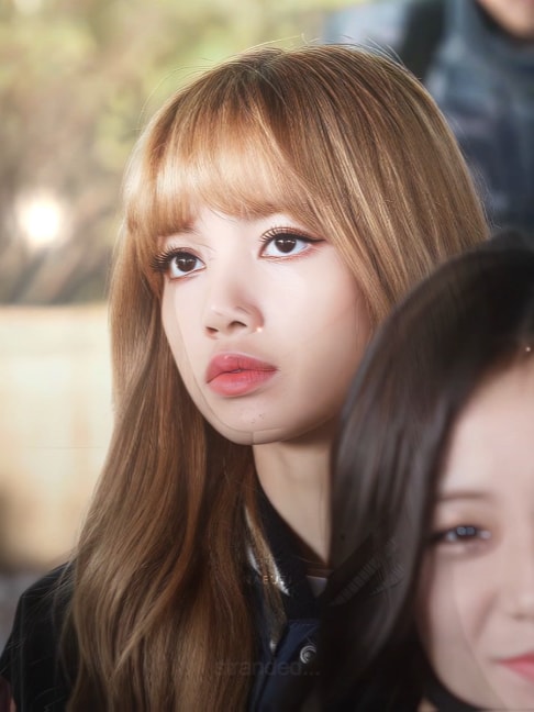 Lisa 2016-2019 edit