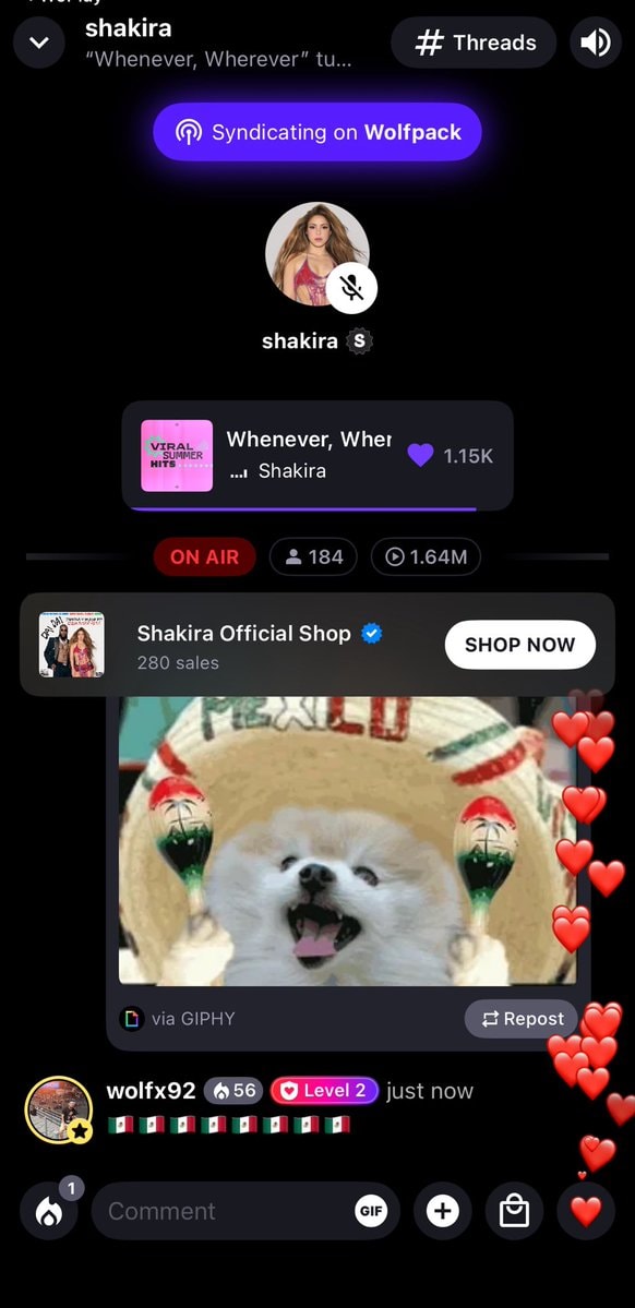 fluffy dog with sombrero and maracas fluffy dog with sombrero and maracas