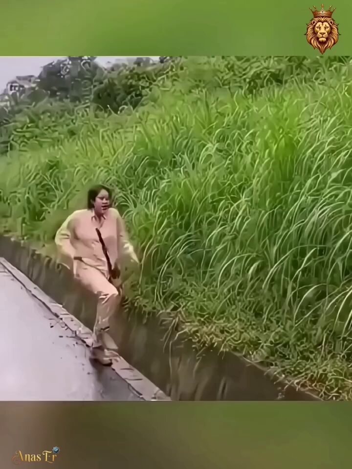 never turn your back in the wild Sunday