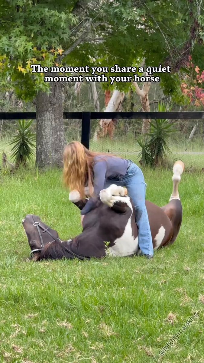 Horse owner quiet moment bond