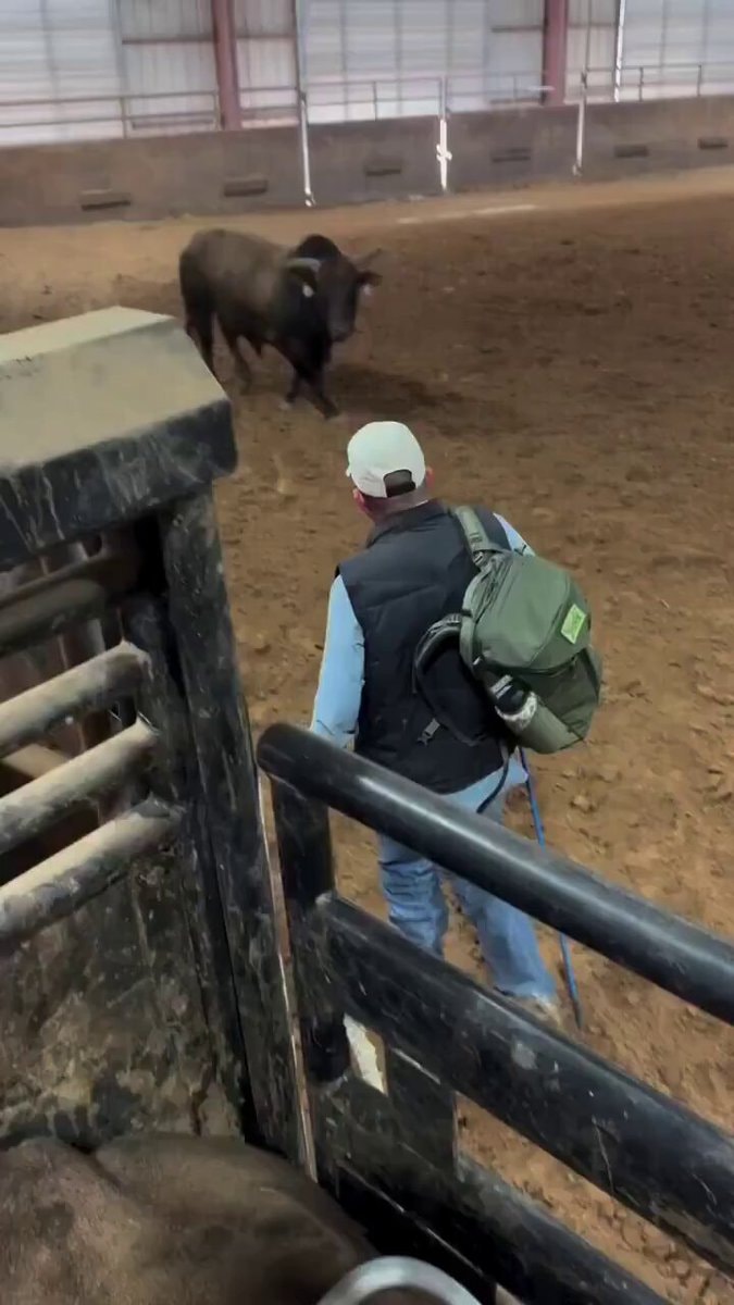 Bull recognizes former caretaker