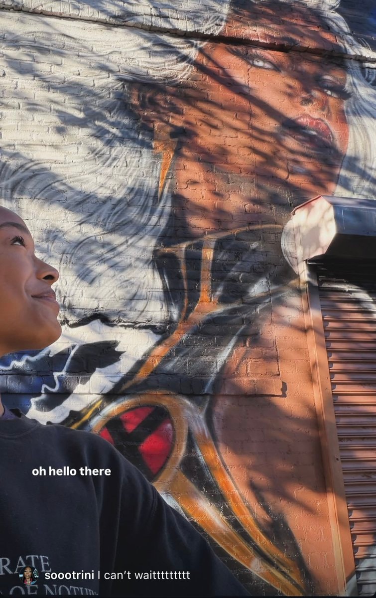 Storm mural meetup