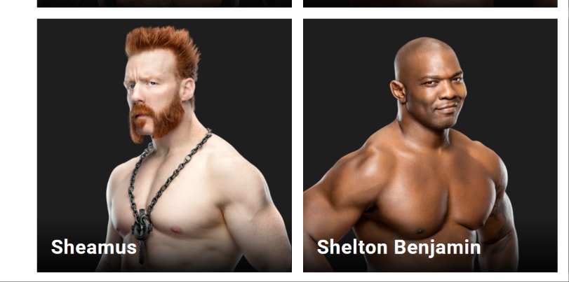 Sheamus WWE alumni
