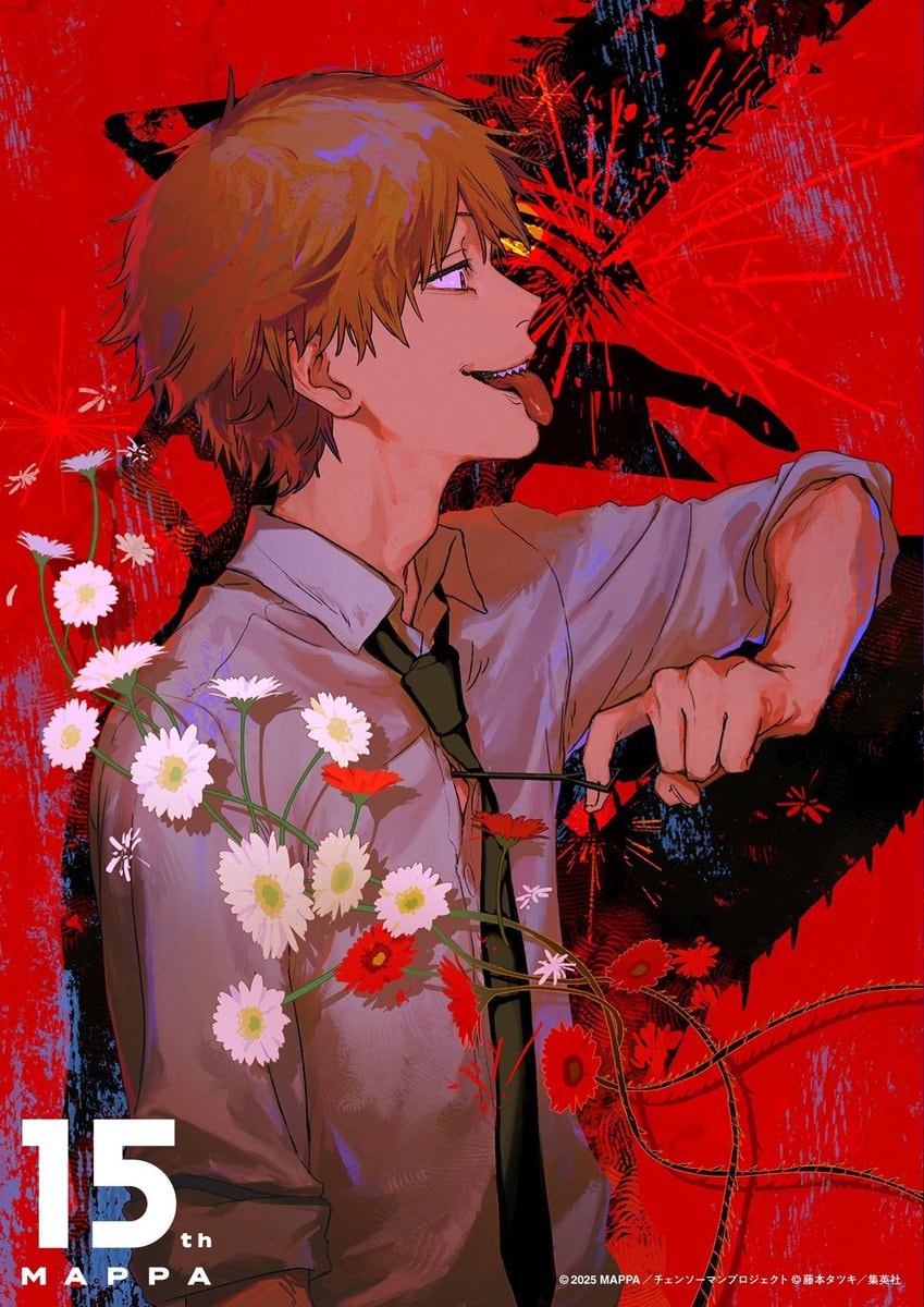 MAPPA 15th Anniversary Security Update