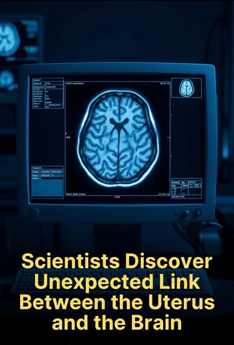 Uterus Brain Link Discovery