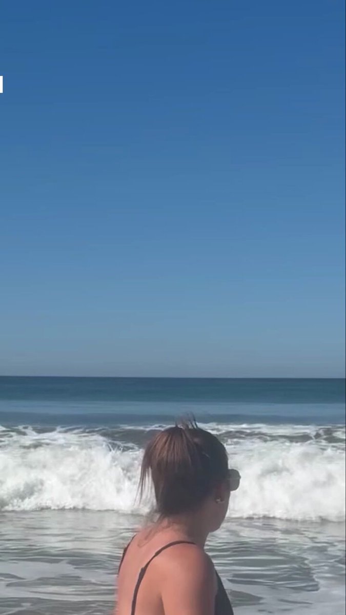 great white shark Marina State Beach