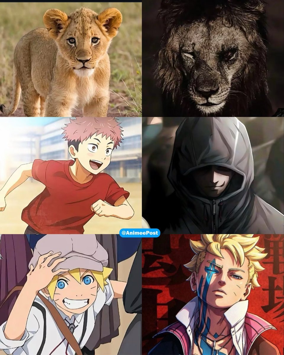 animal and anime collage
