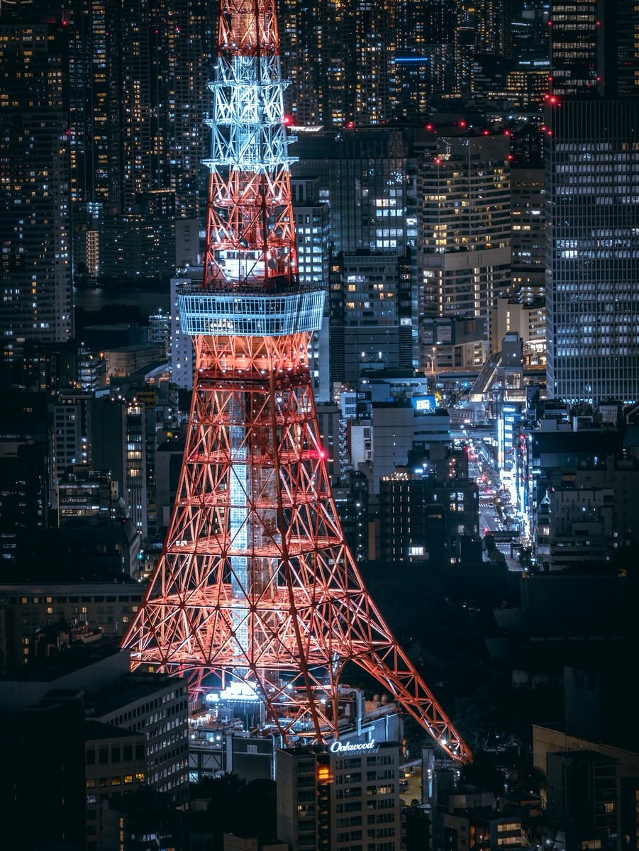 Tokyo Japan night cityscape (photo 2 of 2)