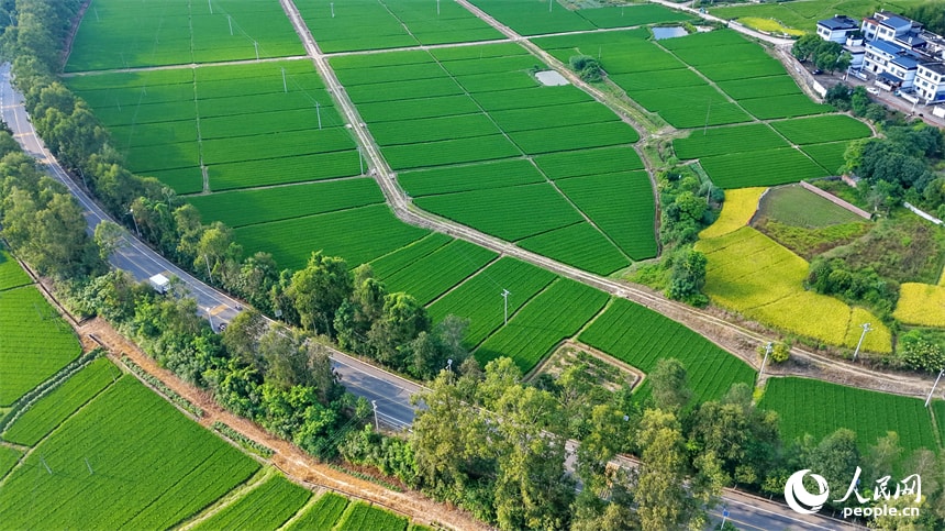Huichang Jiangxi aerial autumn views (photo 3 of 4) Huichang Jiangxi aerial autumn views (photo 3 of 4)