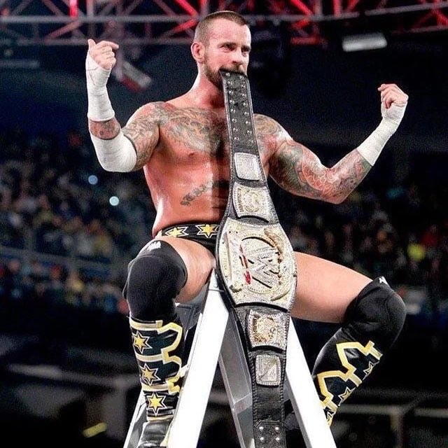 CM Punk WWE Champion (photo 2 of 2)
