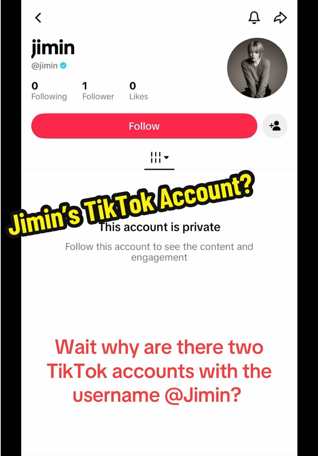 Two @Jimin TikTok accounts