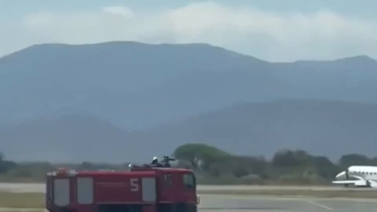 Tanzania emergency landing after zebra strike