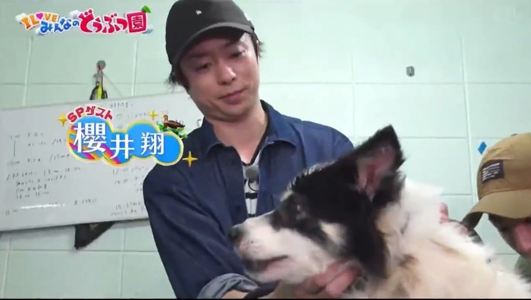 LOVE みんなのどうぶつ園 dog special (photo 4 of 4)