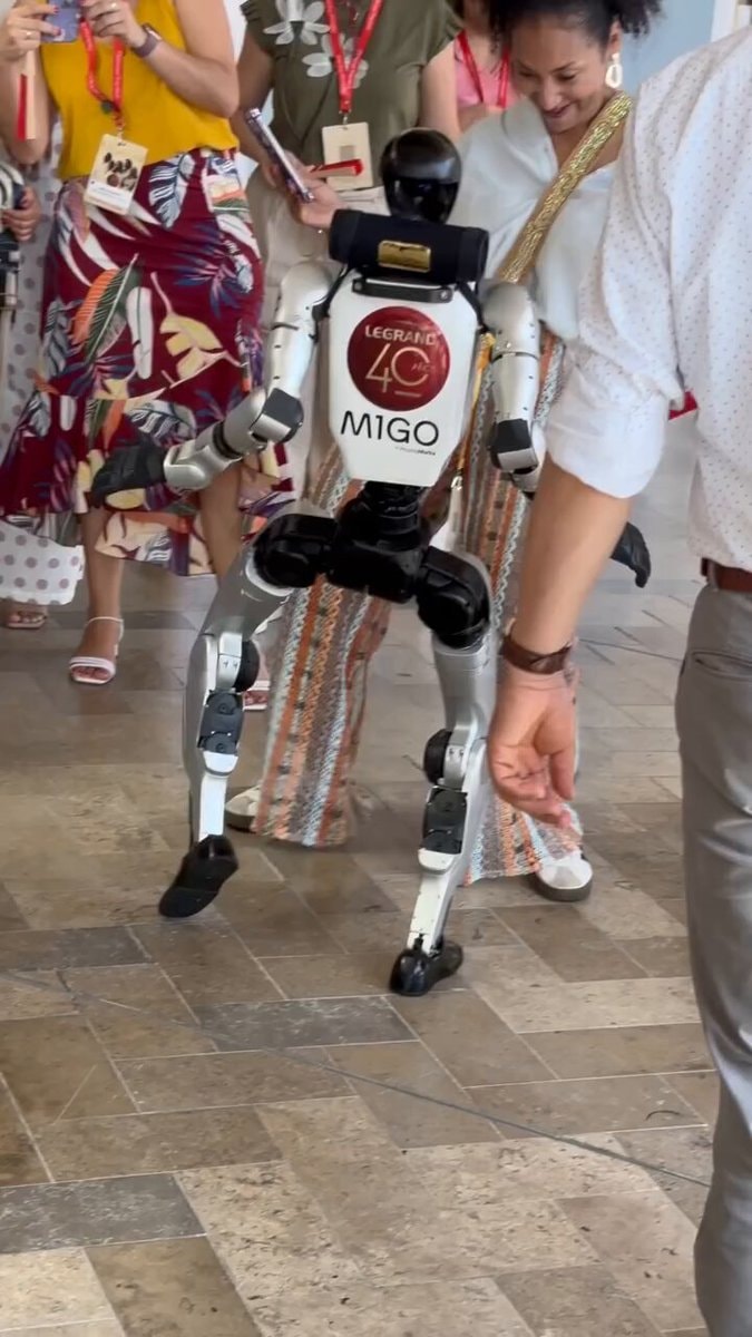 LEGRAND 40 MIGO robot