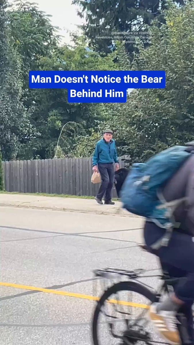 Man unaware of bear behind him