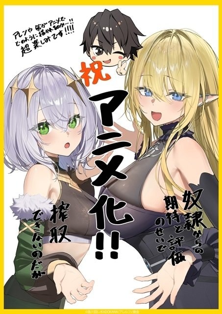 Due to Their Appreciation and Expectations I Can't Exploit My Slaves anime (photo 2 of 3)