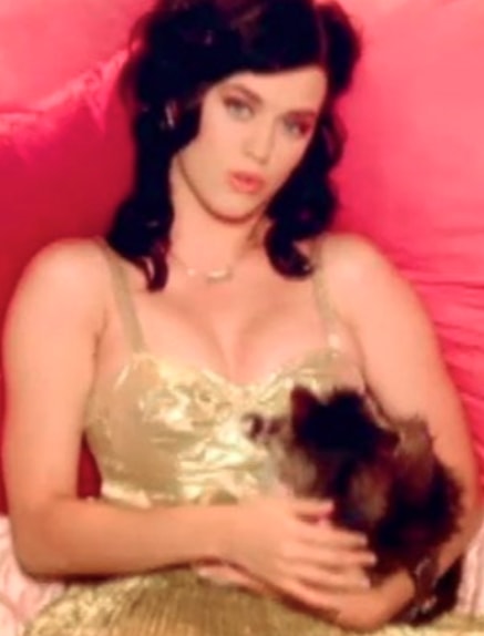 Lady Gaga and Katy Perry 2008 debuts (photo 2 of 2)