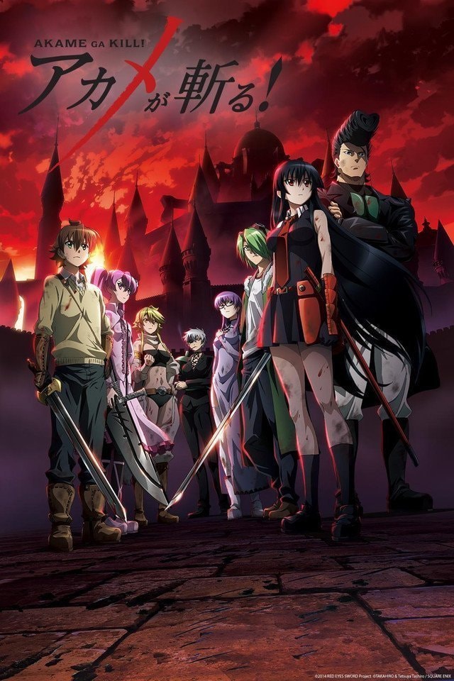 Akame ga Kill! 12 years anniversary
