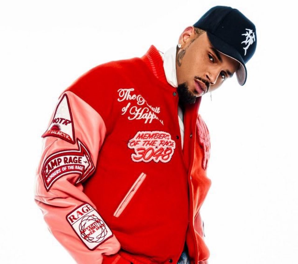 Chris Brown $13M dog attack ruling