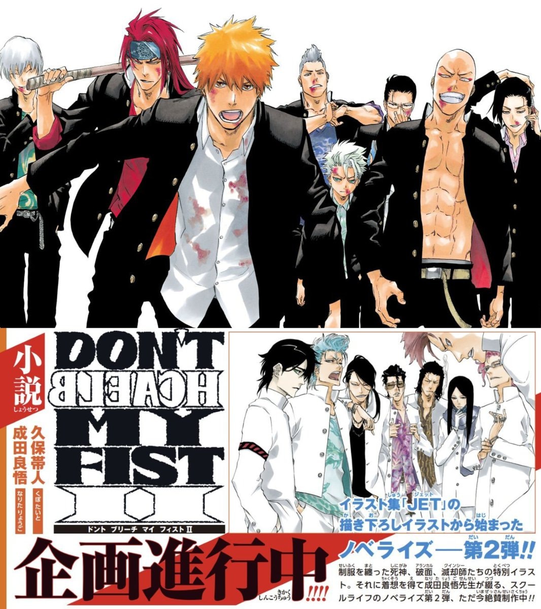 DON'T BLEACH MY FIST II spinoff novel