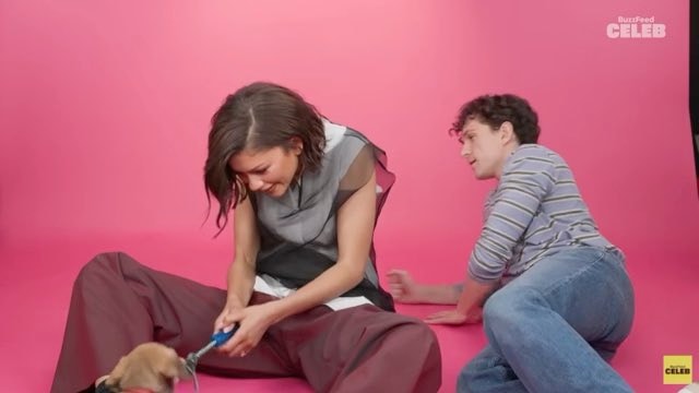 Zendaya Tom Holland Puppy Interview Sienna Spiro